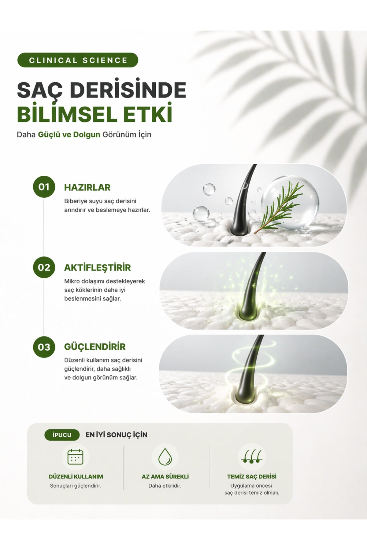 540 İğneli Titanyum Uçlu Dermaroller 1 mm Saç Oluşumuna Yardımcı Biberiye Suyu Seti