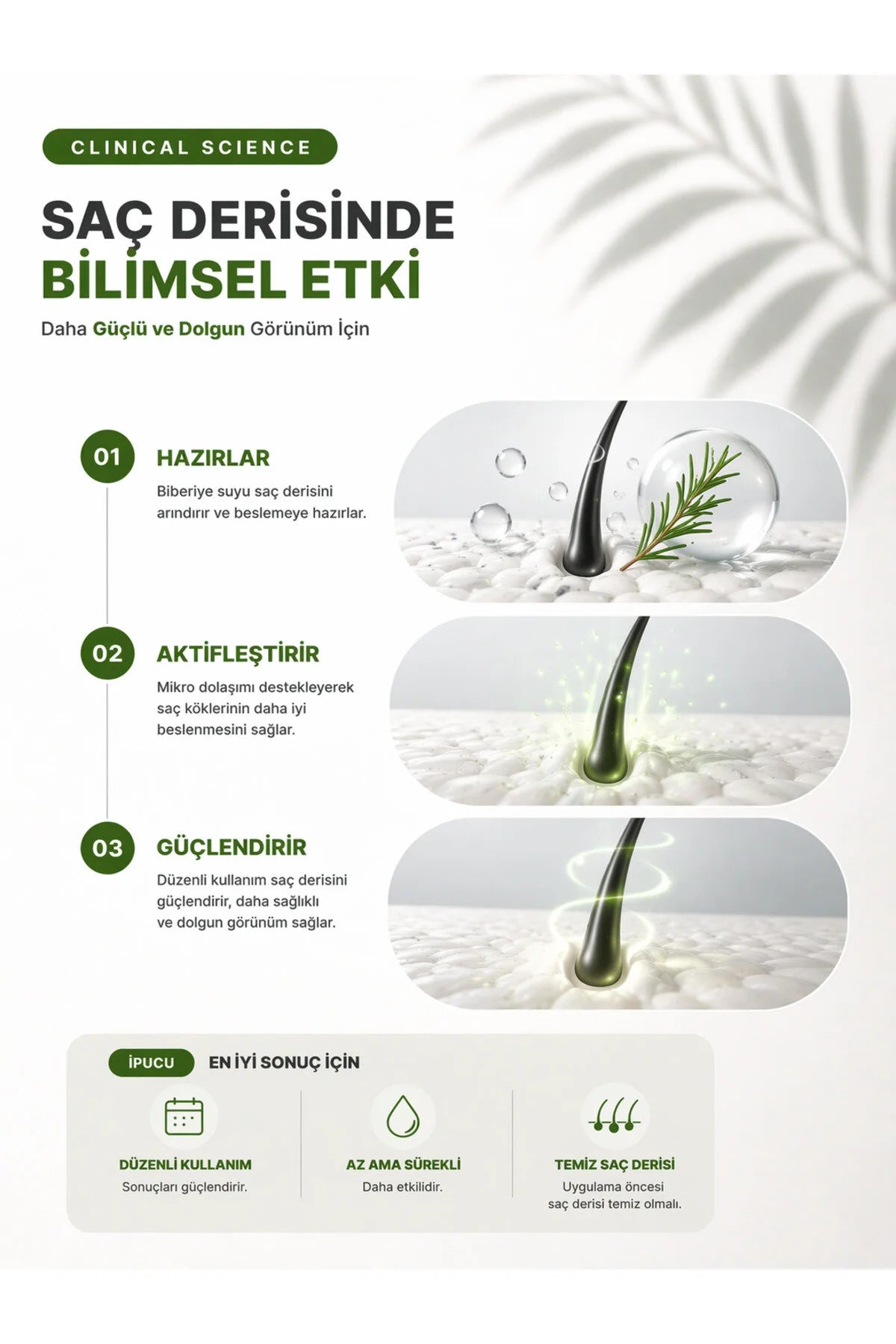 Saç Oluşumuna Yardımcı Biberiye Suyu ve Ayarlanabilir Dermastamp Seti 100 ml