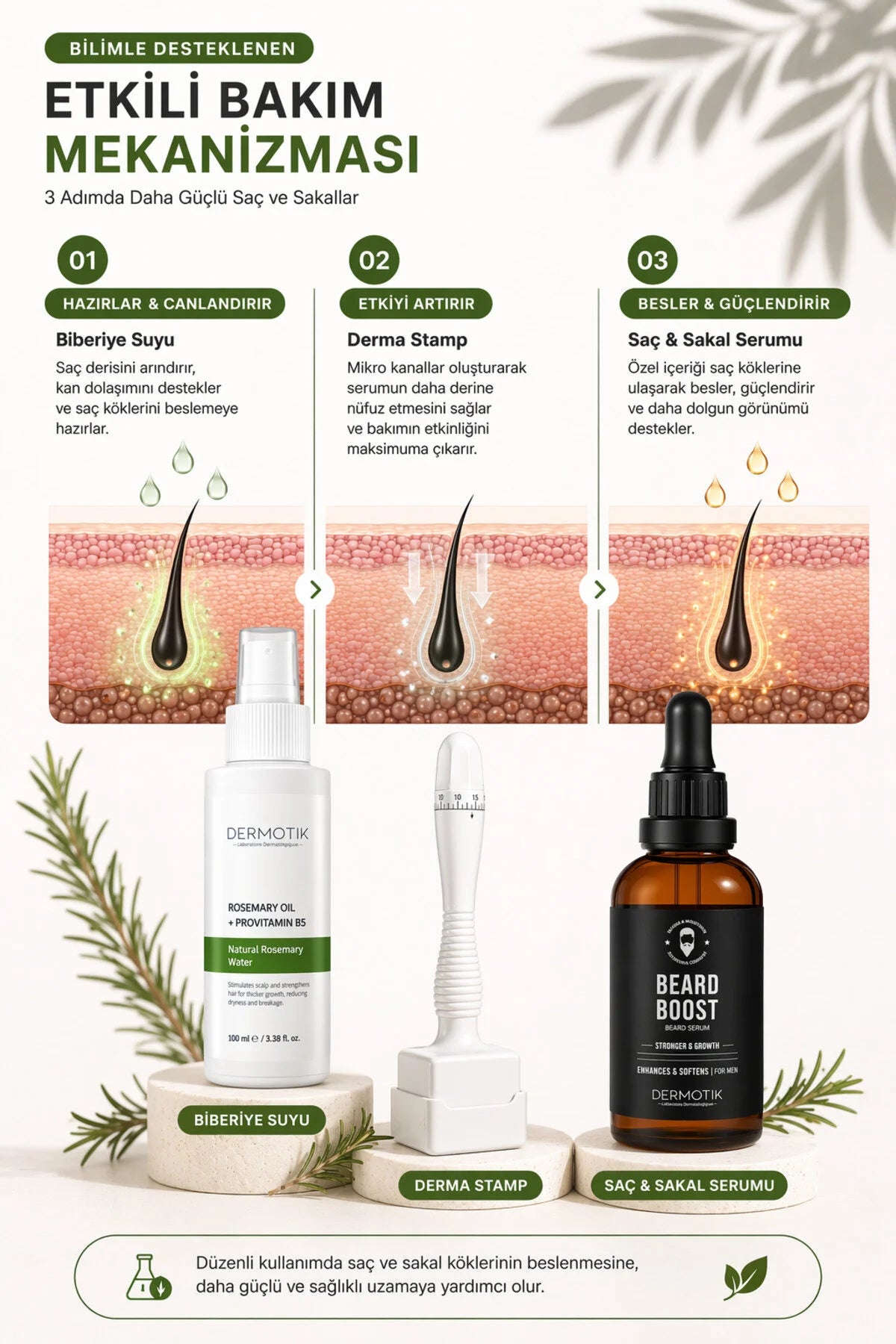 Dermastamp Saç Sakal Seti – Seyrek Görünüm Karşıtı Biberiye Suyu & Serum Destekli